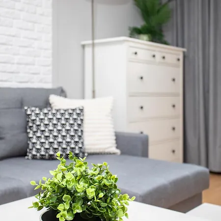 Apartamento Polan 50 - Rataje